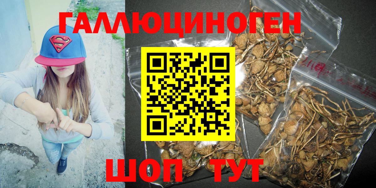 Экстази  Cocaine  Вход с VPN  Марихуана  Кызыл  МЕТАМФЕТАМИН  МЕФ   Alpha PVP СОЛЬ   Героин 
