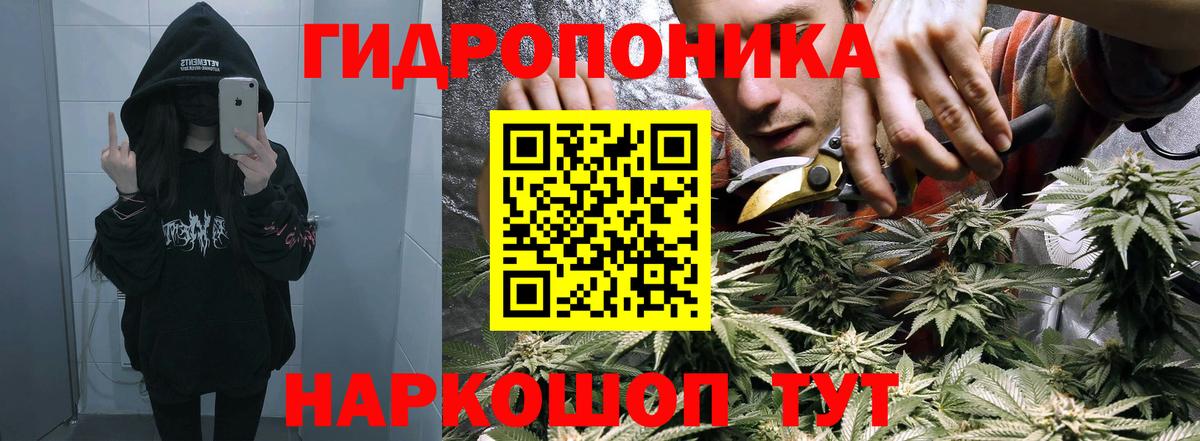 Конопля VHQ  Шишки марихуана THC 21%  Вход с VPN  Кызыл  Каннабис план  Конопля гибрид 